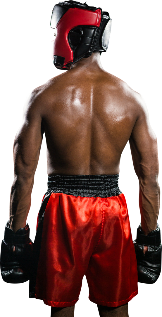 Rear View of Boxer in Red Gear with Transparent Background - Download Free Stock Images Pikwizard.com