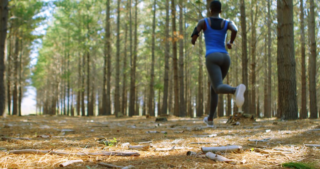 Woman Jogging Through Forest Path on Sunny Day - Free Images, Stock Photos and Pictures on Pikwizard.com