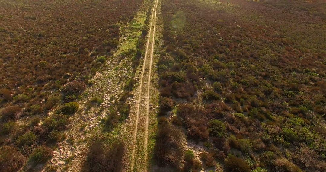 Aerial View of Long Dirt Path Through Dry Vegetation Landscape - Free Images, Stock Photos and Pictures on Pikwizard.com