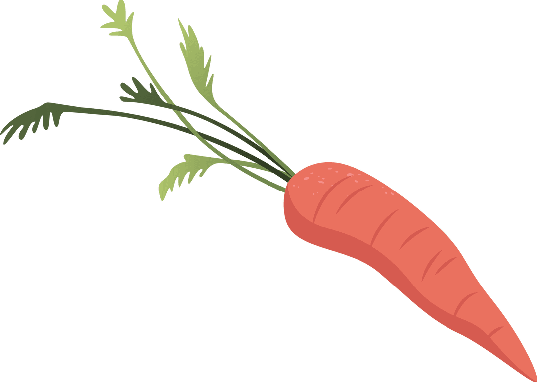 Fresh Carrot Illustration with Leaves on Transparent Background