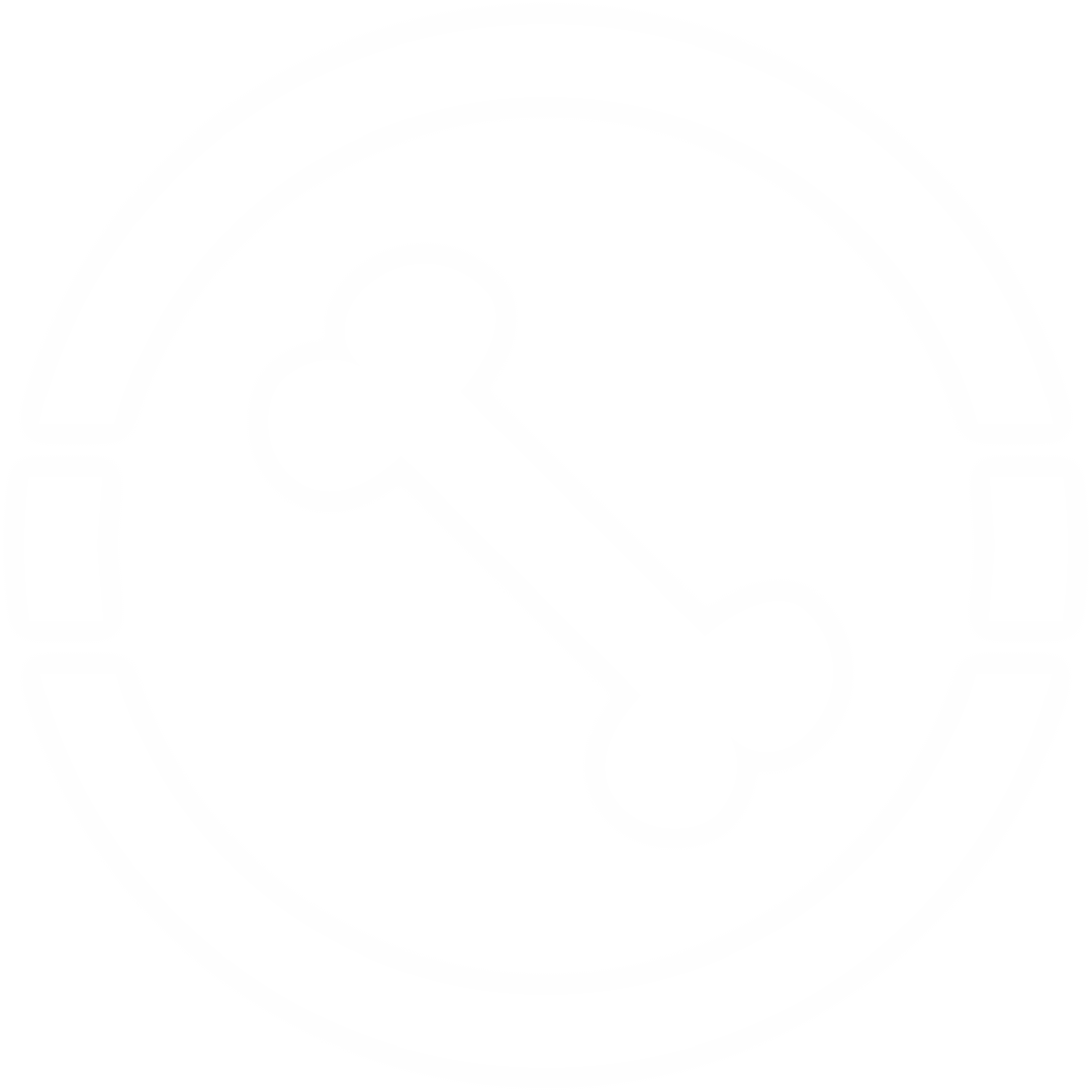 Transparent Icon with Bone in Circle