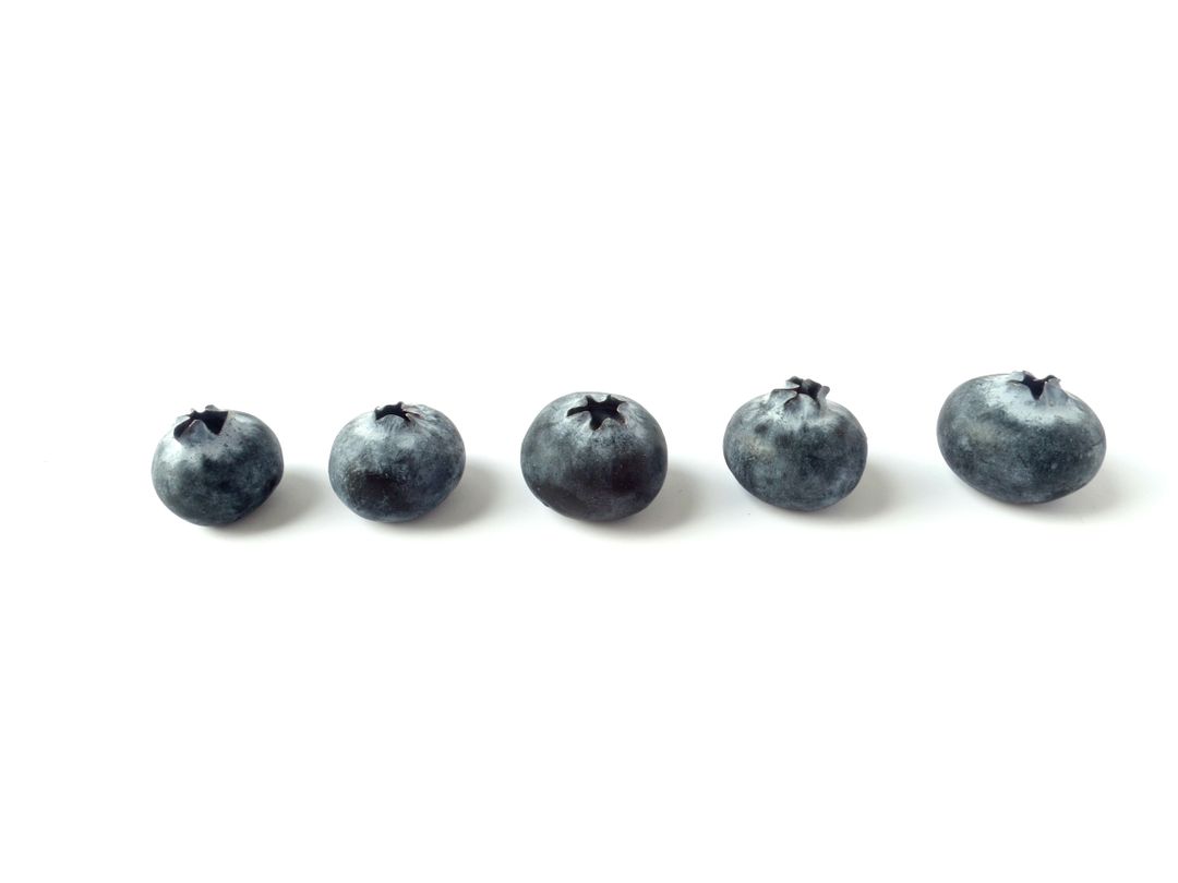 Row of Fresh Blueberries Isolated on White Background - Free Images, Stock Photos and Pictures on Pikwizard.com