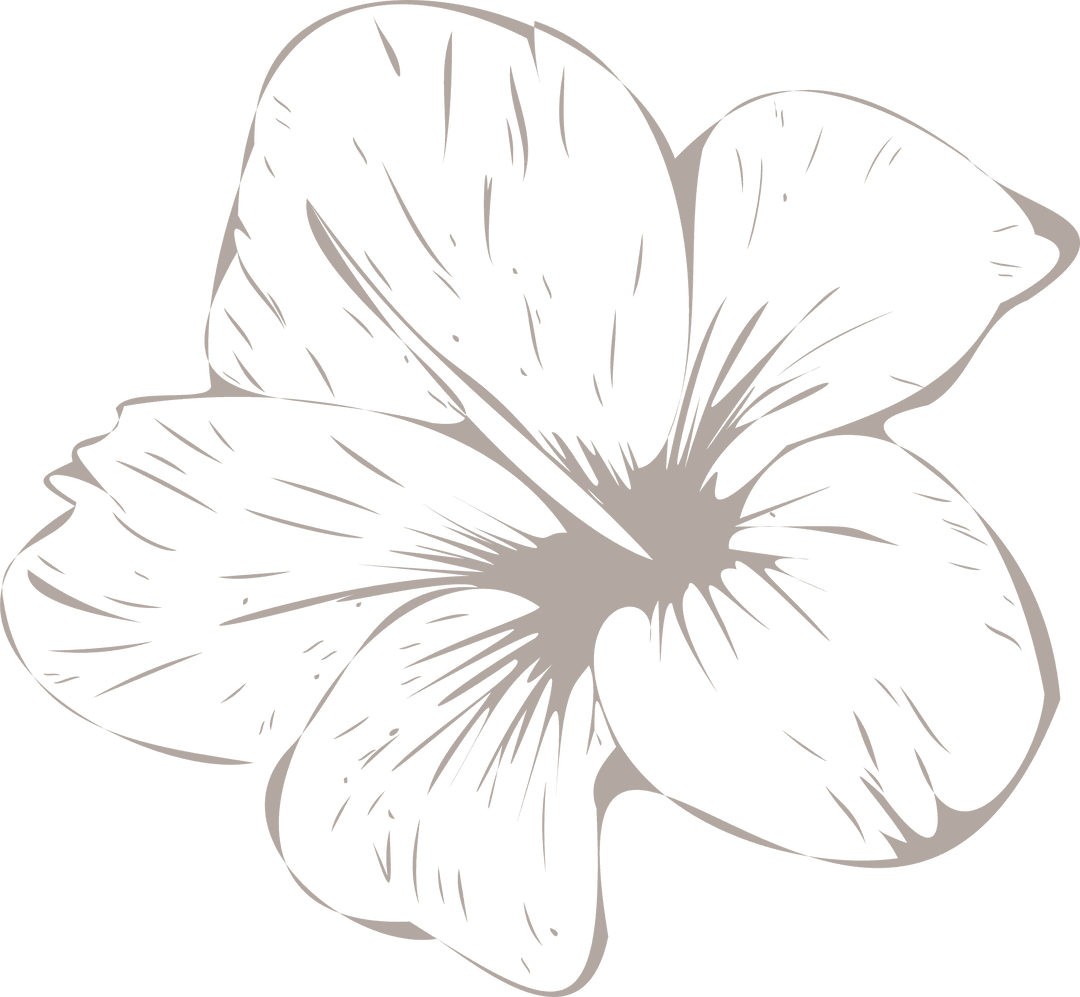 Stylized Tropical Flower Vector with Transparent Background