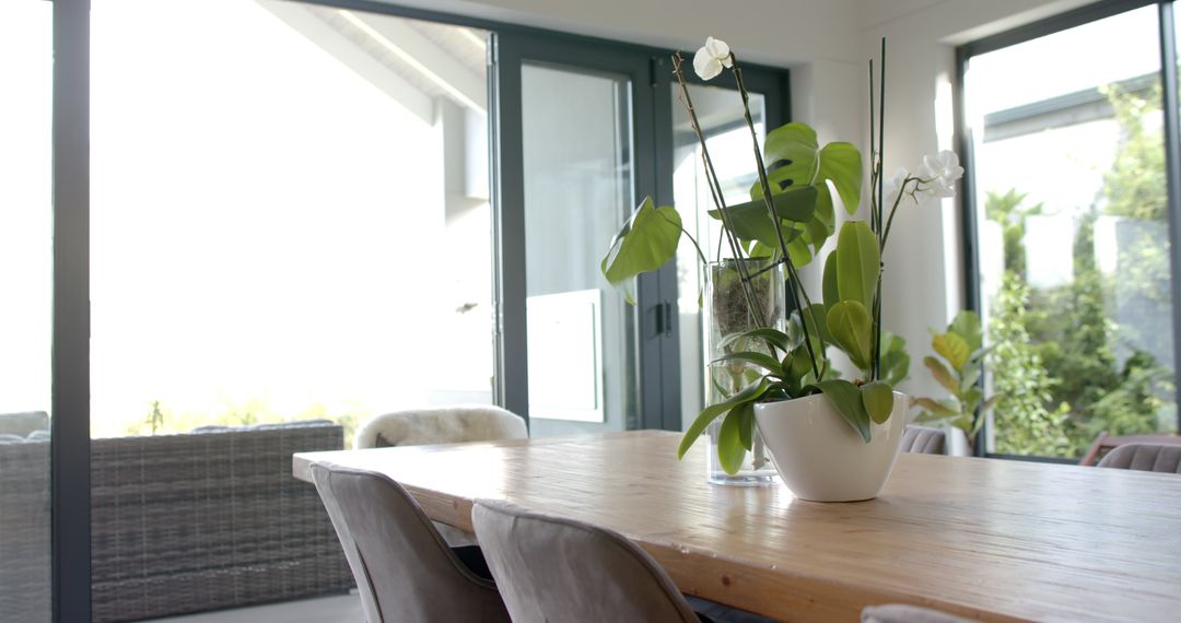 Sunlit Modern Dining Space with White Flower Centerpiece