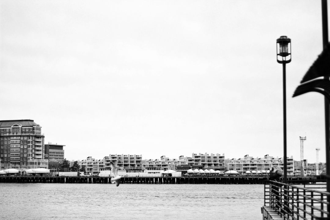 Monochrome Waterfront Promenade With Modern Buildings - Free Images, Stock Photos and Pictures on Pikwizard.com