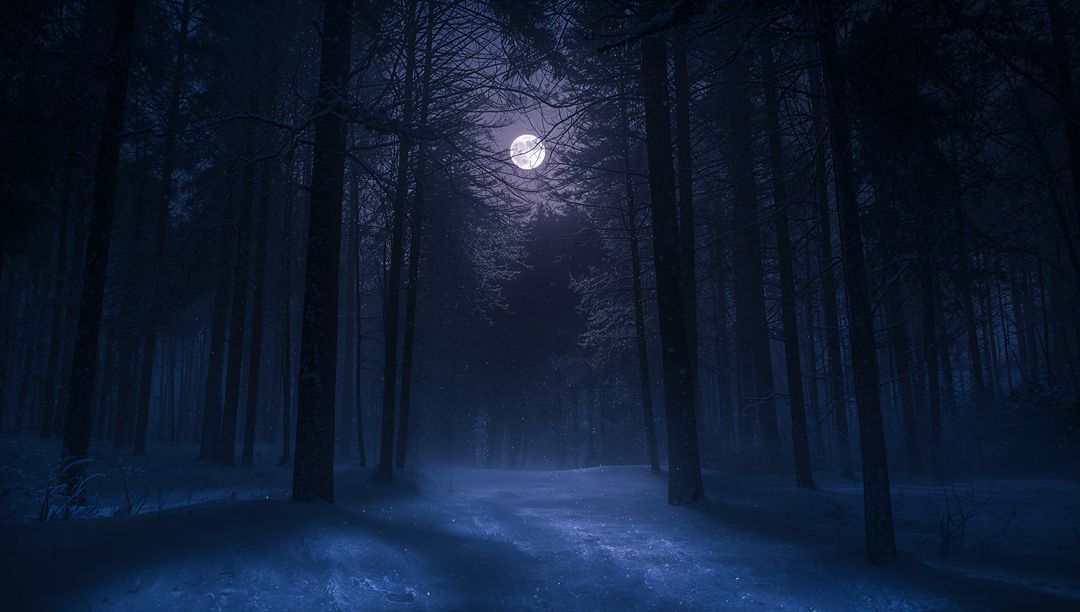 Glowing Full Moon Casting Silver Light over Snowy Path Winding through Pine Forest