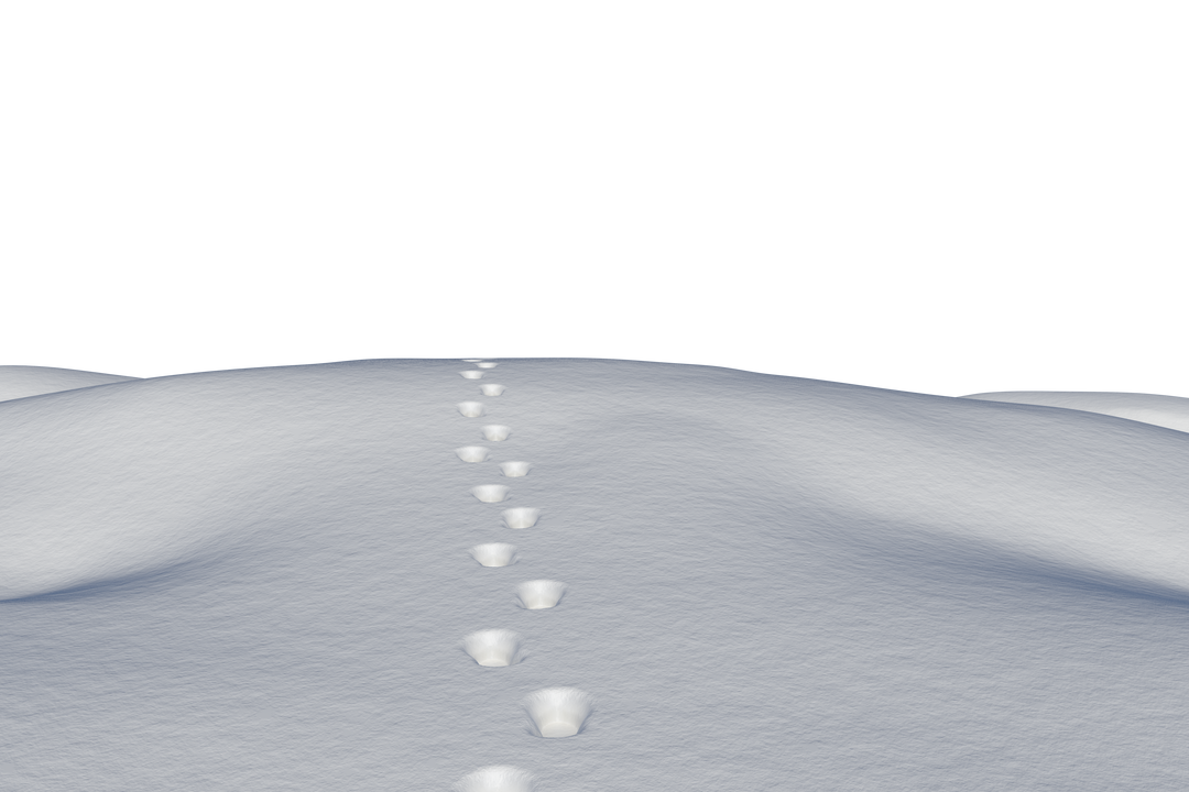 Footsteps in Snow Transparent Background Winter Illustration - Download Free Stock Images Pikwizard.com