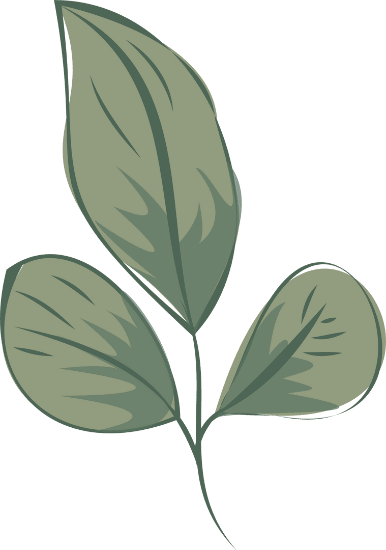 Stylized Green Three-Leaf Sprig on Transparent Background