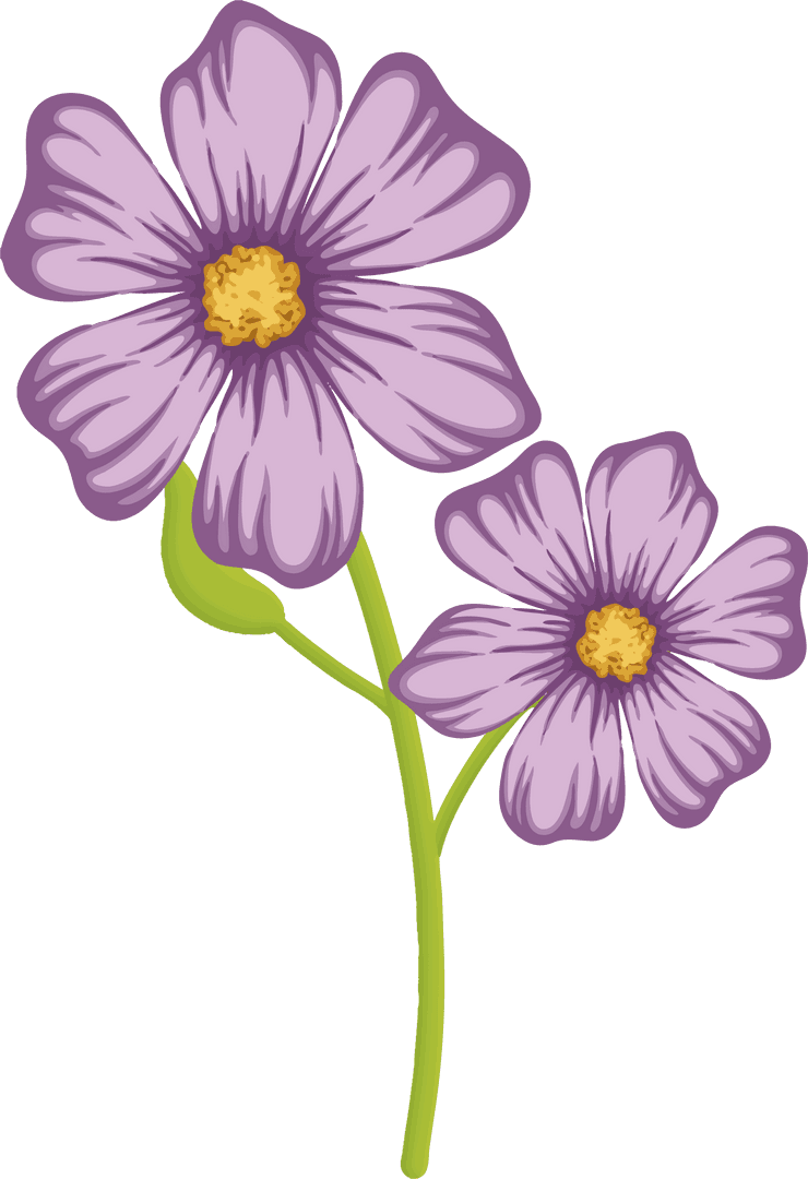 Elegant Lilac Flowers with Green Stem on Transparent Background