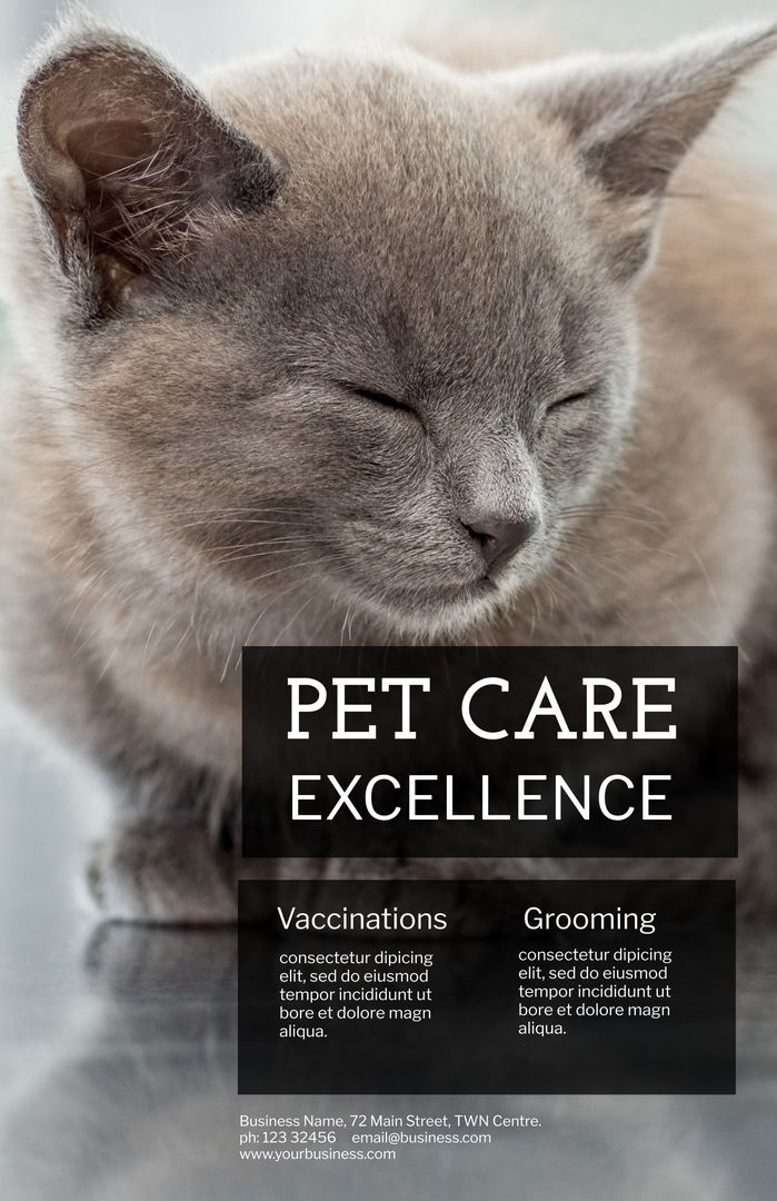 Serene Cat Promoting Quality Pet Grooming Services