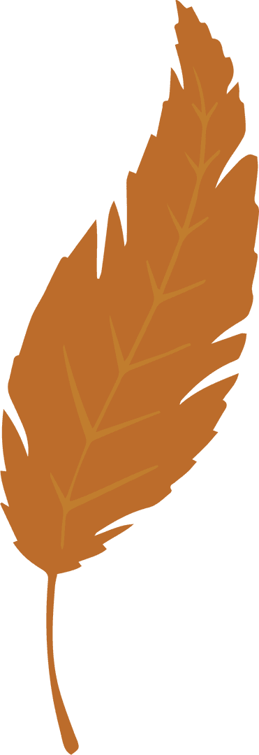 Stylized Orange Feather with Transparent Background