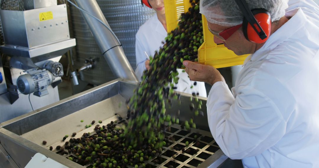 Workers Processing Olives in Industrial Food Factory - Free Images, Stock Photos and Pictures on Pikwizard.com