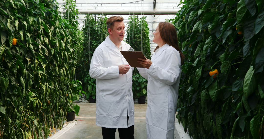 Caucasian Scientists Analyzing Plant Development in Greenhouse