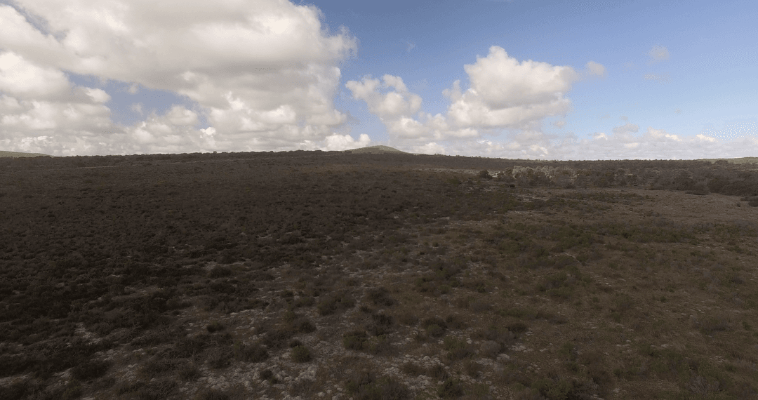 Transparent Sky and Vast Countryside Landscape View