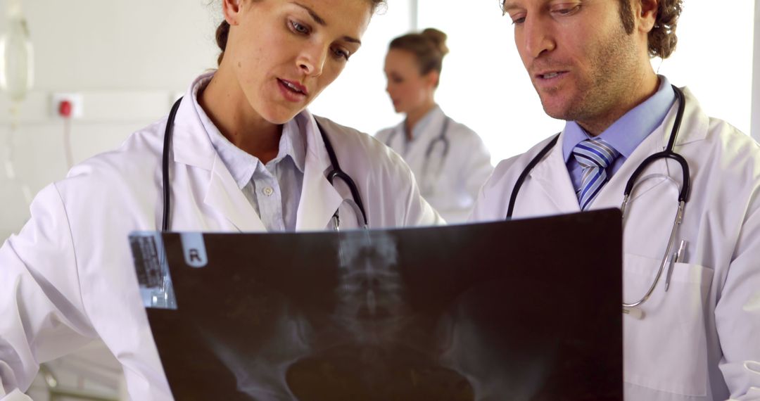 Doctors Reviewing X-Ray Results in Hospital - Free Images, Stock Photos and Pictures on Pikwizard.com