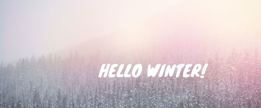 Winter Wonderland Forest with Mist and Sunlight Greeting