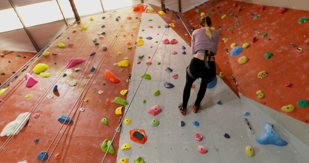 Woman Climbing Indoor Rock Wall in Gym with Safety Harness - Free Images, Stock Photos and Pictures on Pikwizard.com