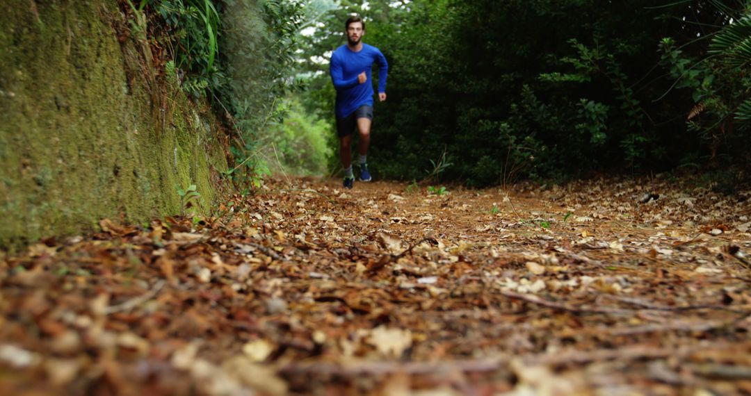 Man Jogging in Forest Pathway - Free Images, Stock Photos and Pictures on Pikwizard.com