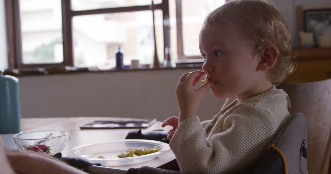 Toddler Eating Snack While Sitting on High Chair Indoors - Free Images, Stock Photos and Pictures on Pikwizard.com