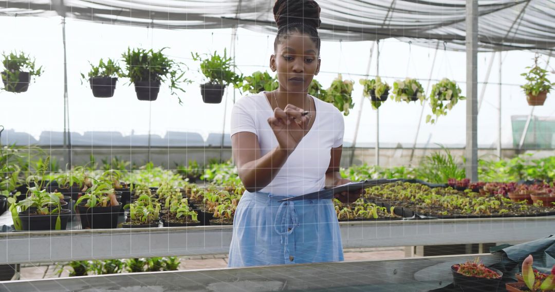 Greenhouse Worker Using Virtual Display in Modern Nursery