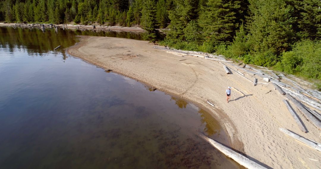 Aerial View of Solitary Hiker on Remote Forested Beach - Free Images, Stock Photos and Pictures on Pikwizard.com