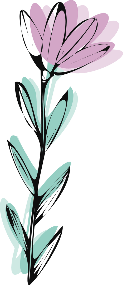 Transparent Botanical Sketch of Flowering Stem with Lavender Bloom