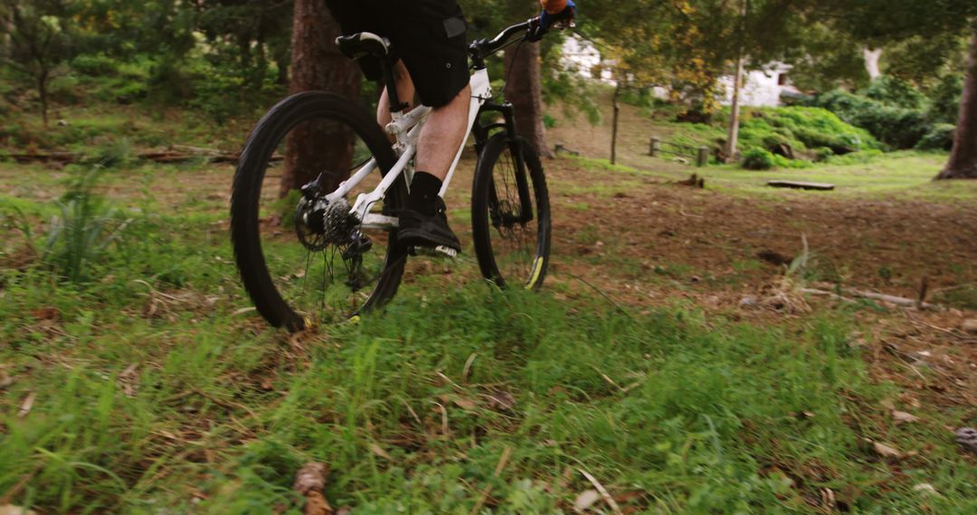 Mountain Biking Adventure on Forest Trail