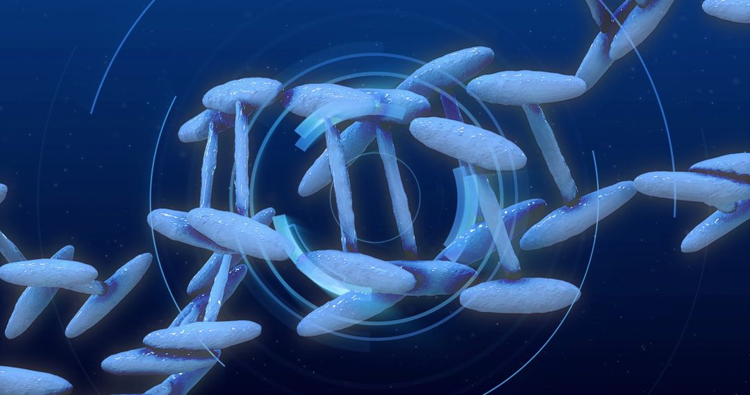 Digital Representation of DNA Helix for Biotechnological Research