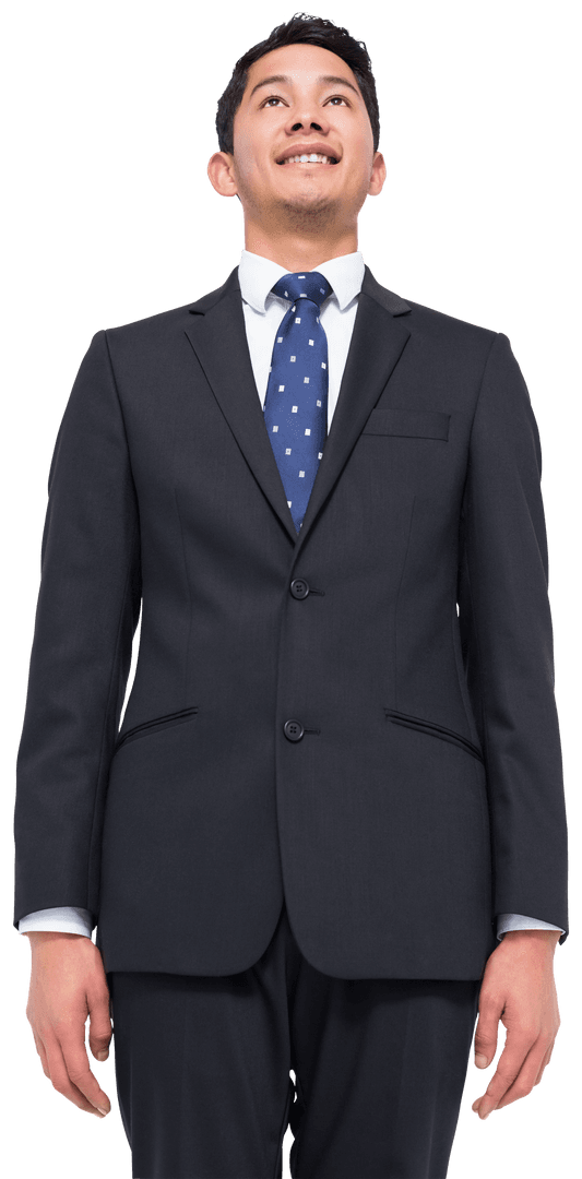 Happy Biracial Businessman Standing Smiling Transparency