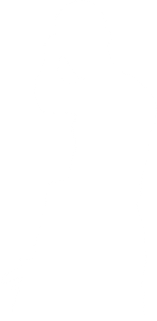 Transparent Silhouette of Male Martial Arts Fighter Vector - Download Free Stock Images Pikwizard.com