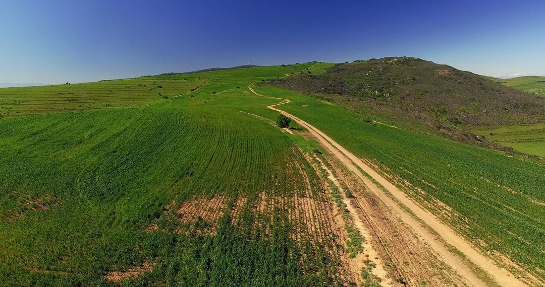 Aerial View of Lush Green Fields and Dirt Road Winding Through Hills - Free Images, Stock Photos and Pictures on Pikwizard.com