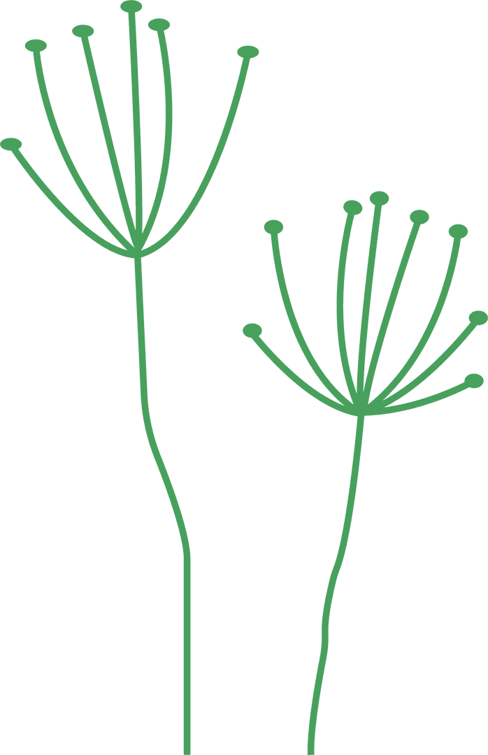 Minimalist Botanical Silhouettes on Transparent Background