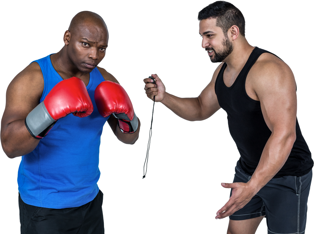 Training Partners Lifting Kettlebellt and Boxing Transparent Background - Download Free Stock Images Pikwizard.com