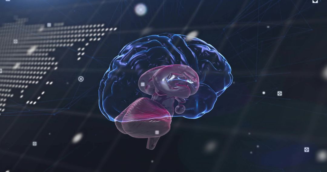 Futuristic Digital Brain Model with Neural Network Overlay