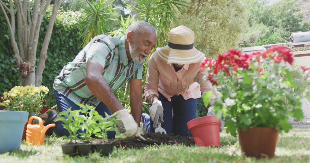 Senior couple gardening together in yard with flowers and plants - Free Images, Stock Photos and Pictures on Pikwizard.com