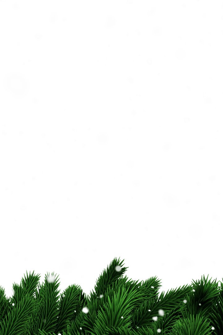 Transparent Snow with Green Fir Borders and Snowflakes