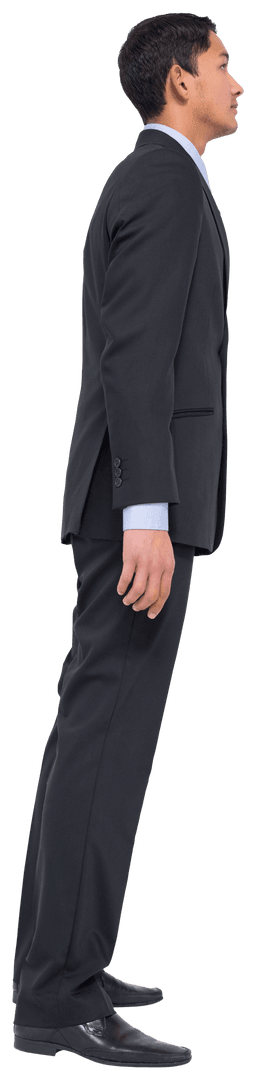 Biracial Businessman Standing Upright Transparent