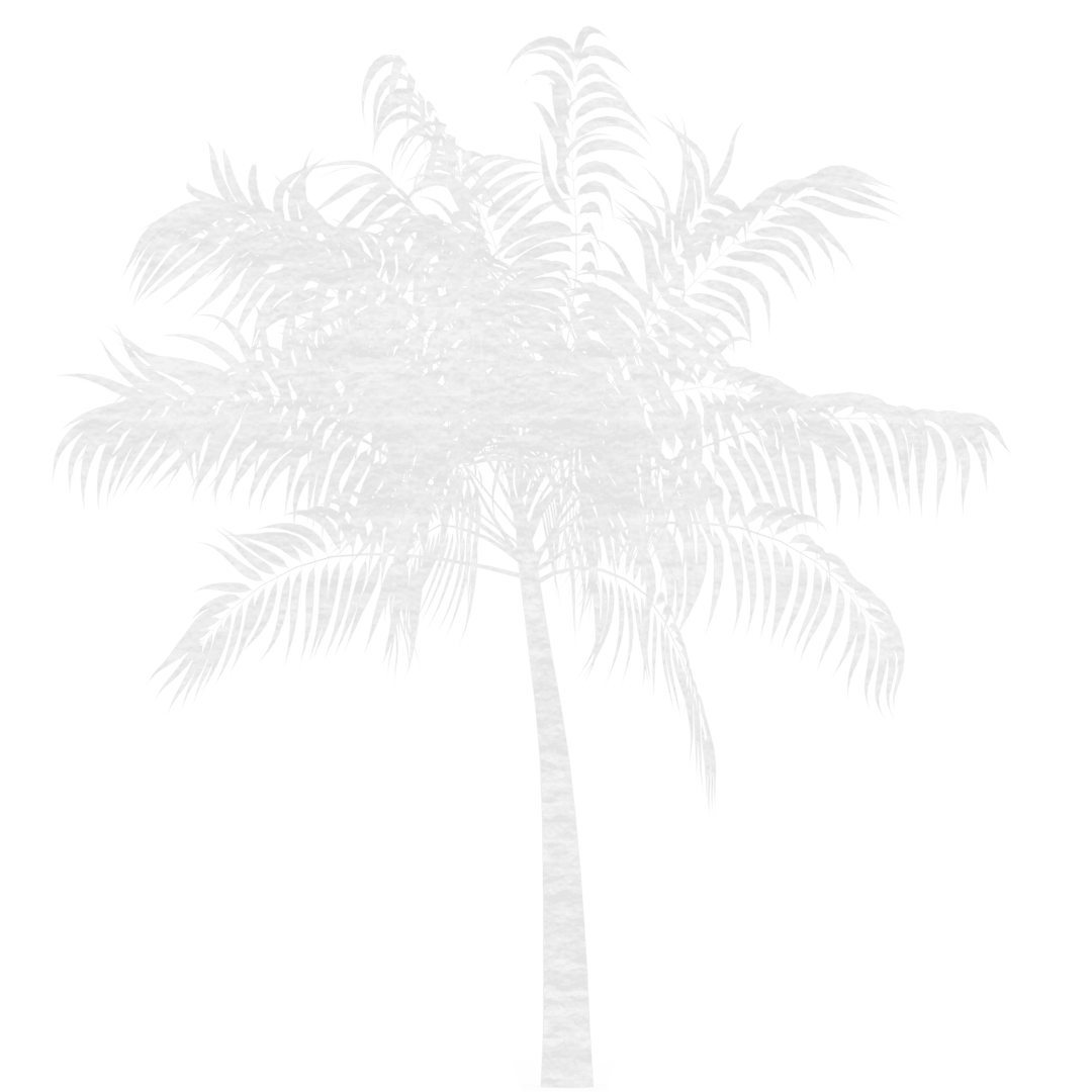 White Palm Tree Silhouette on Transparent Background for Creative Design