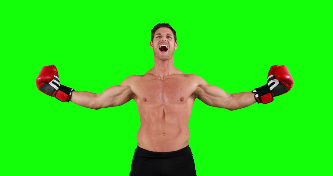 Shirtless Boxer Celebrating Victory with Green Screen Background - Free Images, Stock Photos and Pictures on Pikwizard.com