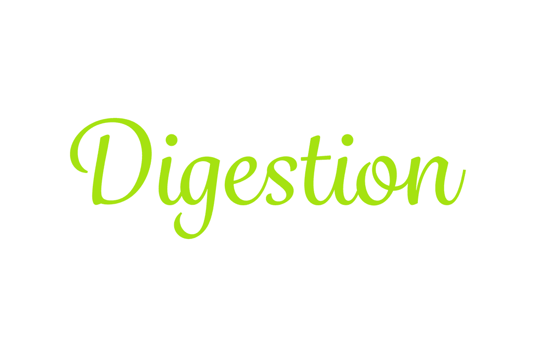Digestion Text Illustration on Transparent Background