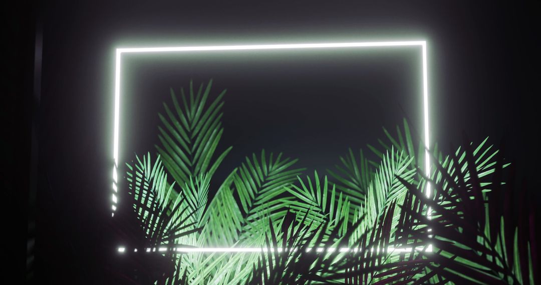 Neon Frame Illuminating Tropical Leaves in Dark