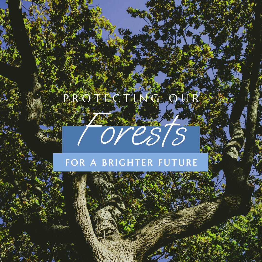 Protecting Forests for a Sustainable Future