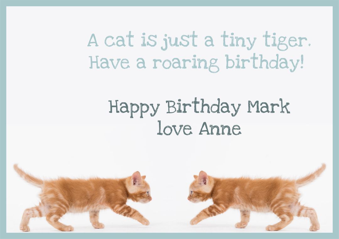 Playful Orange Kittens Enjoying Festive Scene