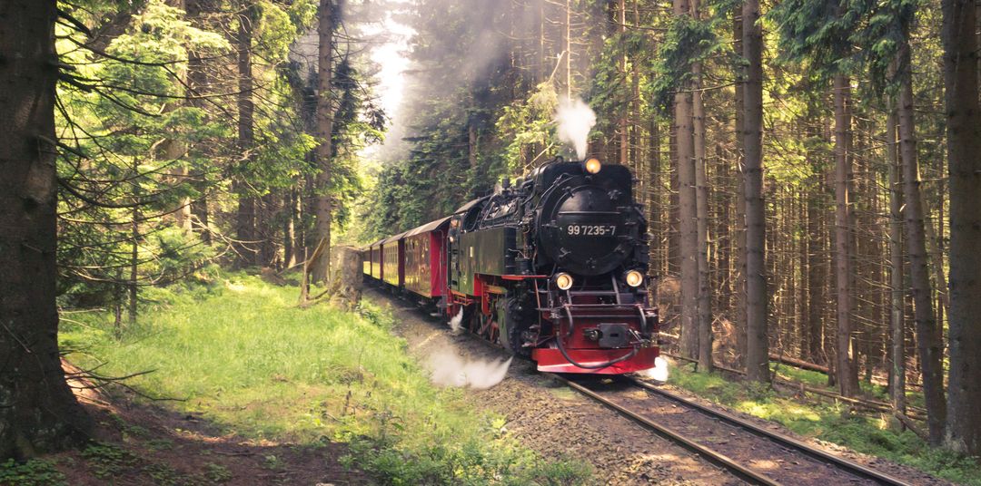 Vintage Steam Train Traveling Through Lush Green Forest Scenery - Free Images, Stock Photos and Pictures on Pikwizard.com