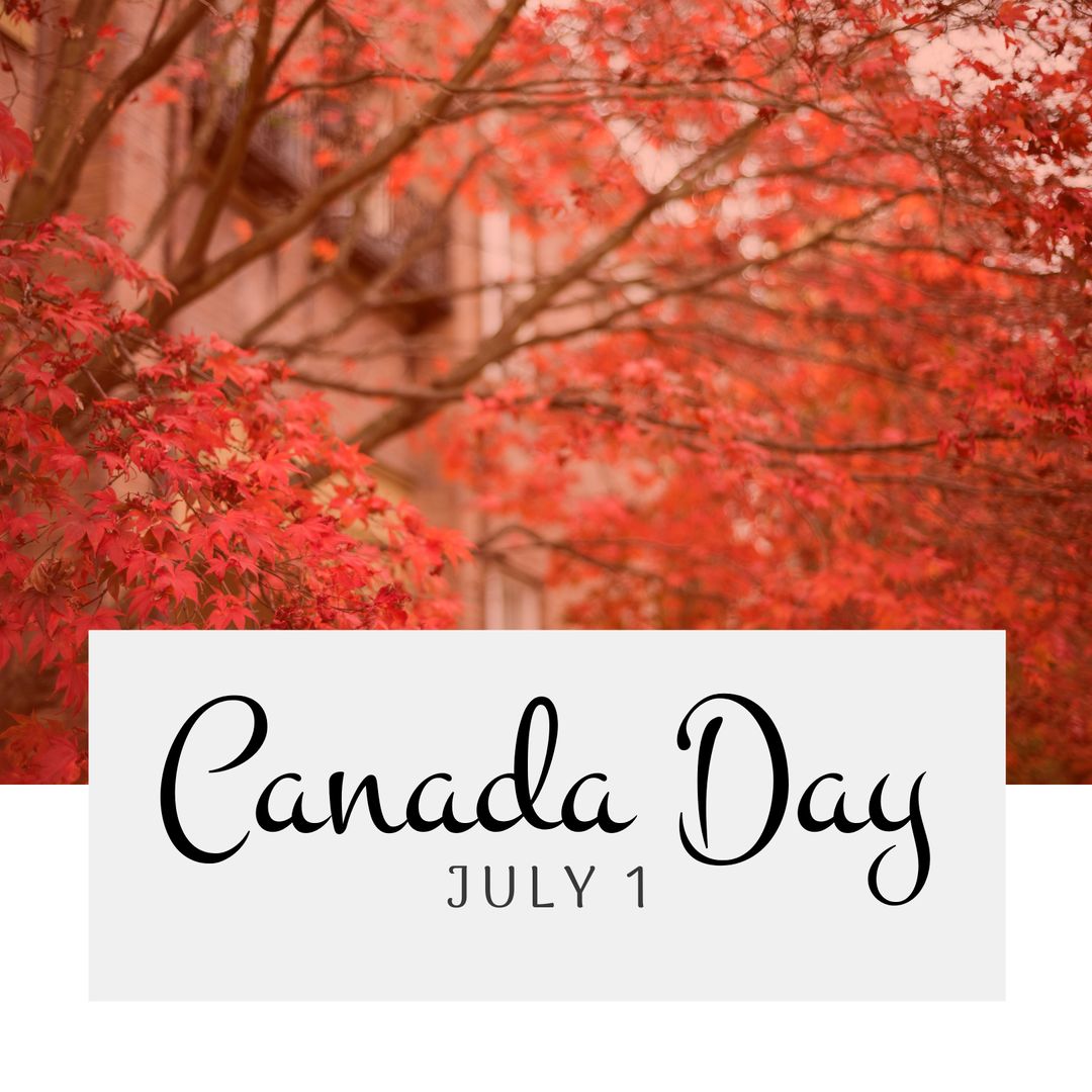 Canada Day Announcement on Red Maple Background