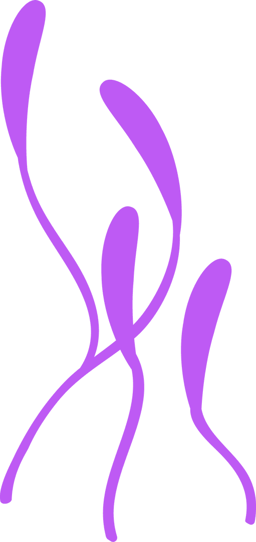Abstract Lavender Ribbons Floating on Transparent Background