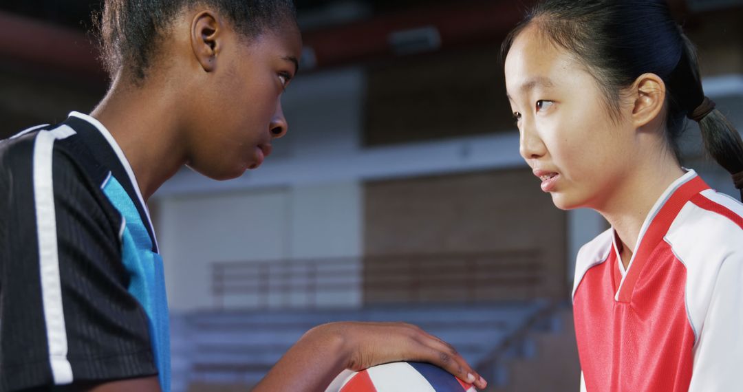 Focused Teen Girls Having Intense Volleyball Discussion in Gym - Free Images, Stock Photos and Pictures on Pikwizard.com