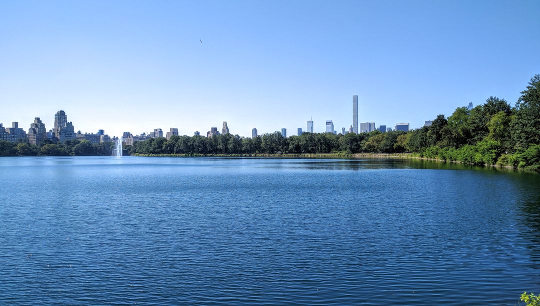 Serene Urban Park Lake with City Skyline on Sunny Day - Free Images, Stock Photos and Pictures on Pikwizard.com