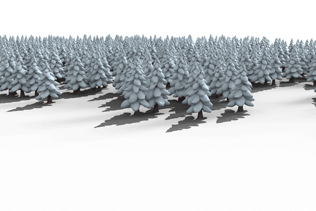 Transparent Snow-Covered Forest in Winter