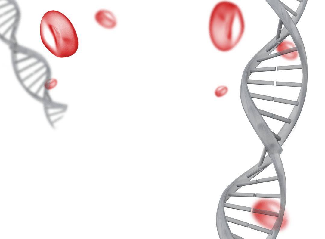 Transparent DNA Strand with Red Blood Cells on White Background